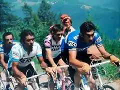 Agostinho-Merckx-1977