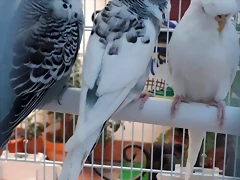 20191107_162924