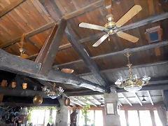 DSCN3575 DSCN3575