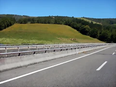 DSCN0018 DSCN0018