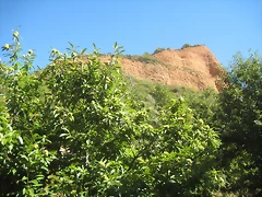 IMG_0178 IMG_0178