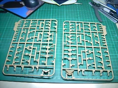 DSCN3531 DSCN3531