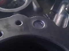 IMAG1499 IMAG1499