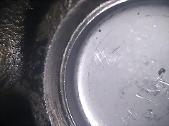 IMAG1496 IMAG1496