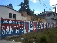 EL ALBO ES MI VIDA