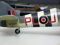 SDC39035 SDC39035