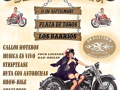 PIN UP DRAG B