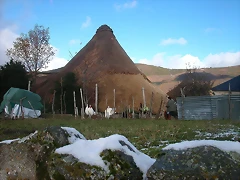 DSCN4829 DSCN4829