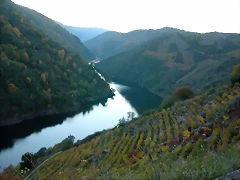 DSCN6556 DSCN6556