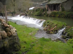 DSCN2881 DSCN2881
