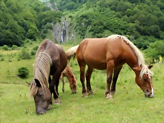 IMG_7689 IMG_7689