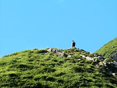 IMG_7357 IMG_7357