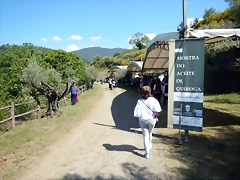 DSCN5155