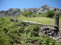 DSCN3869 DSCN3869