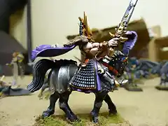 Paladin Elfo Oscuro en Corcel  6