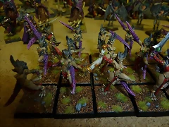 Diablillas de Slaanesh 6