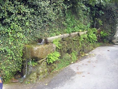 IMG_0197 IMG_0197