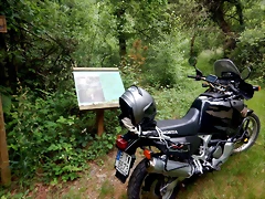 DSCN7479 DSCN7479