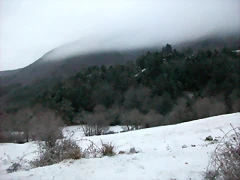 100_8379 100_8379