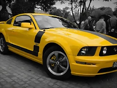 DSC_0890 DSC_0890