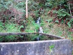 DSCN6326 DSCN6326