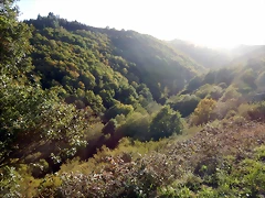 DSCN8446 DSCN8446
