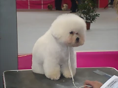11 027 11 027