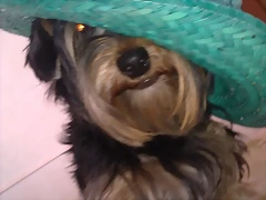 05092011201 05092011201