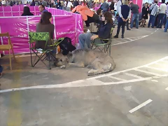 11 045 11 045