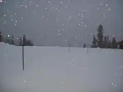 NEVANDO EN COLORADO