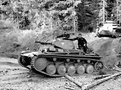 pzii pzii