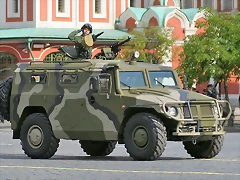 gaz tiger