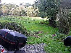 DSCN5263 DSCN5263