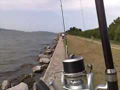 020720111056 020720111056