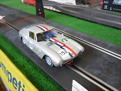 DSCN0463 DSCN0463
