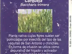 PLANTA005