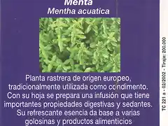 PLANTA004