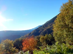 DSCN9431 DSCN9431