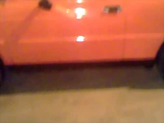 IMG0391A IMG0391A
