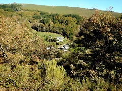 DSCN9514 DSCN9514