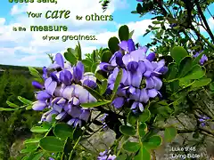 care_for_others