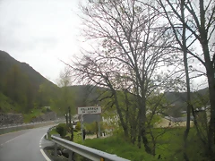 DSCN4278 DSCN4278