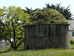 IMG_1316 (Copier) IMG_1316 (Copier)