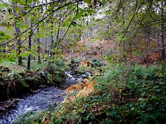 DSCN1258 DSCN1258