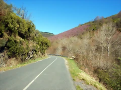 DSCN9146 DSCN9146