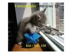 Francotirador Mi?rcoles 19