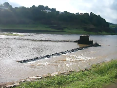 DSCN5395 DSCN5395
