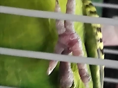 20180527_091055 20180527_091055