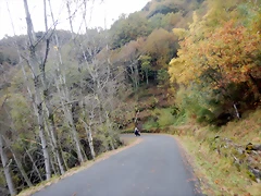 DSCN2901 DSCN2901