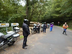 DSCN8518 DSCN8518